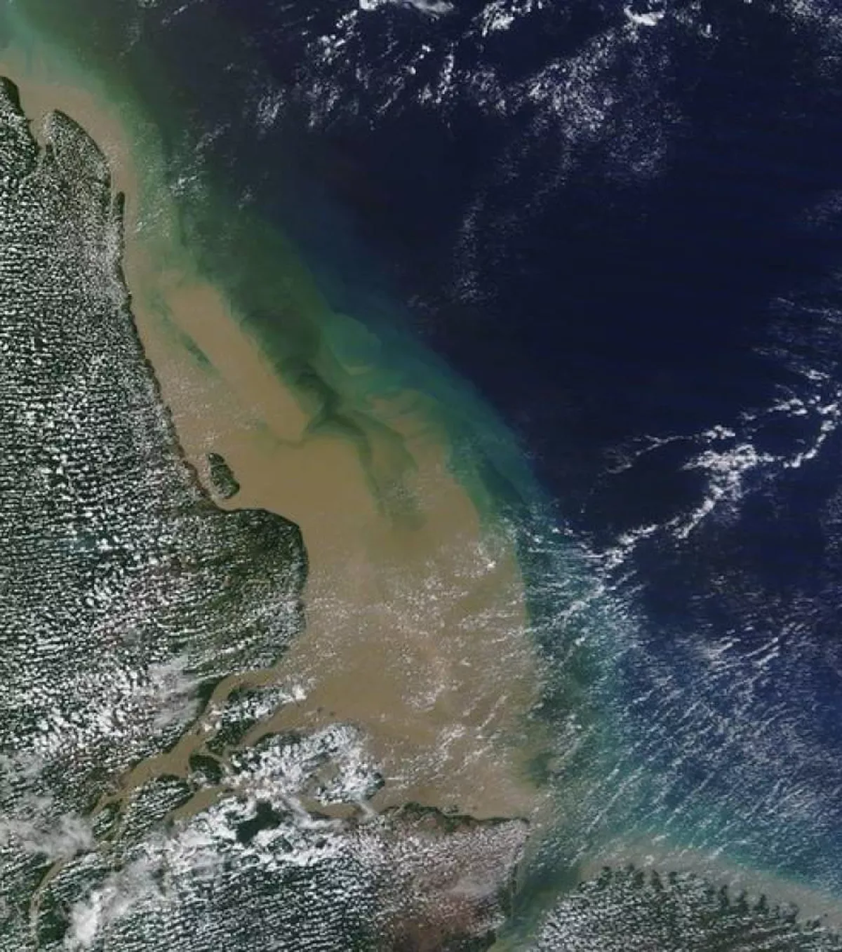 Chevron inicia avaliação sísmica de blocos na Bacia da Foz do Amazonas