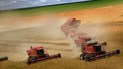 Goiás avalia antecipar plantio de soja diante de chuvas irregulares