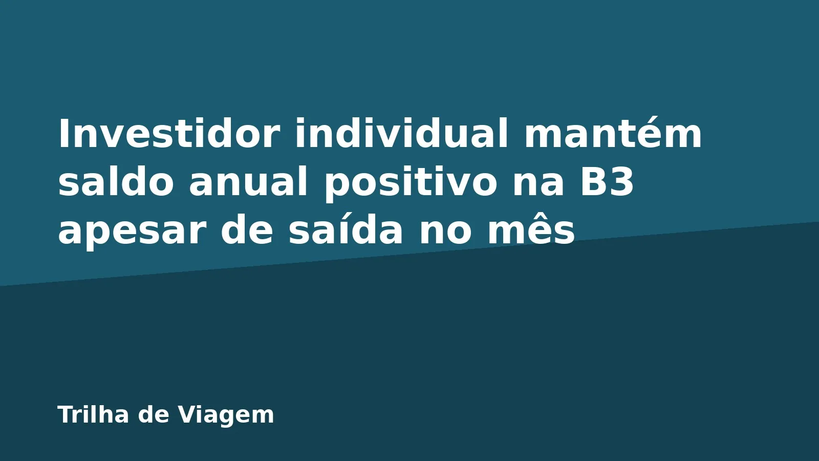 Investidor individual mantém saldo anual positivo na B3 apesar de saída no mês
