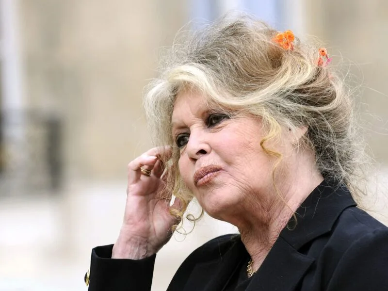 Leilão de objetos de Brigitte Bardot arrecada 953.531 euros em Paris