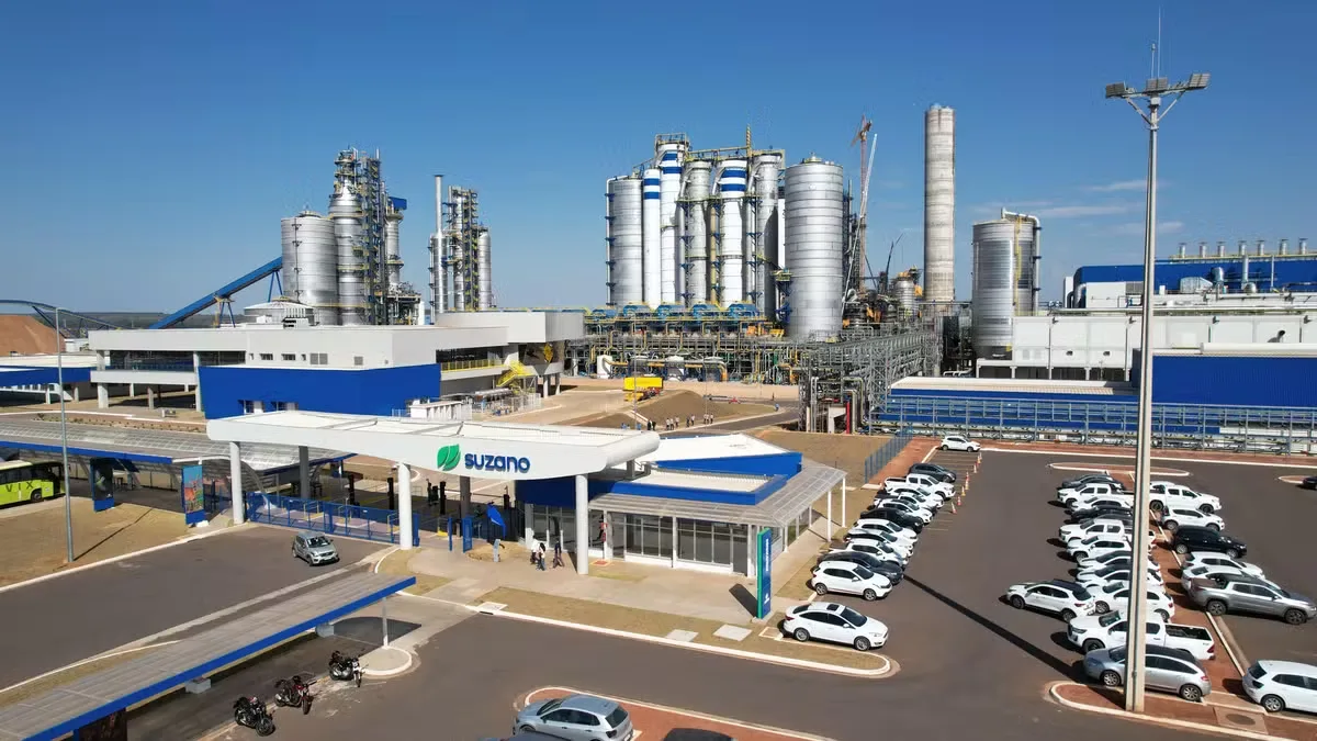 Suzano mapeia 388 mil hectares sensíveis à natureza em relatório internacional
