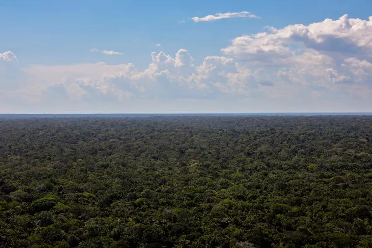 Decretos criam quatro reservas no Amazonas e ampliam parque no Piauí