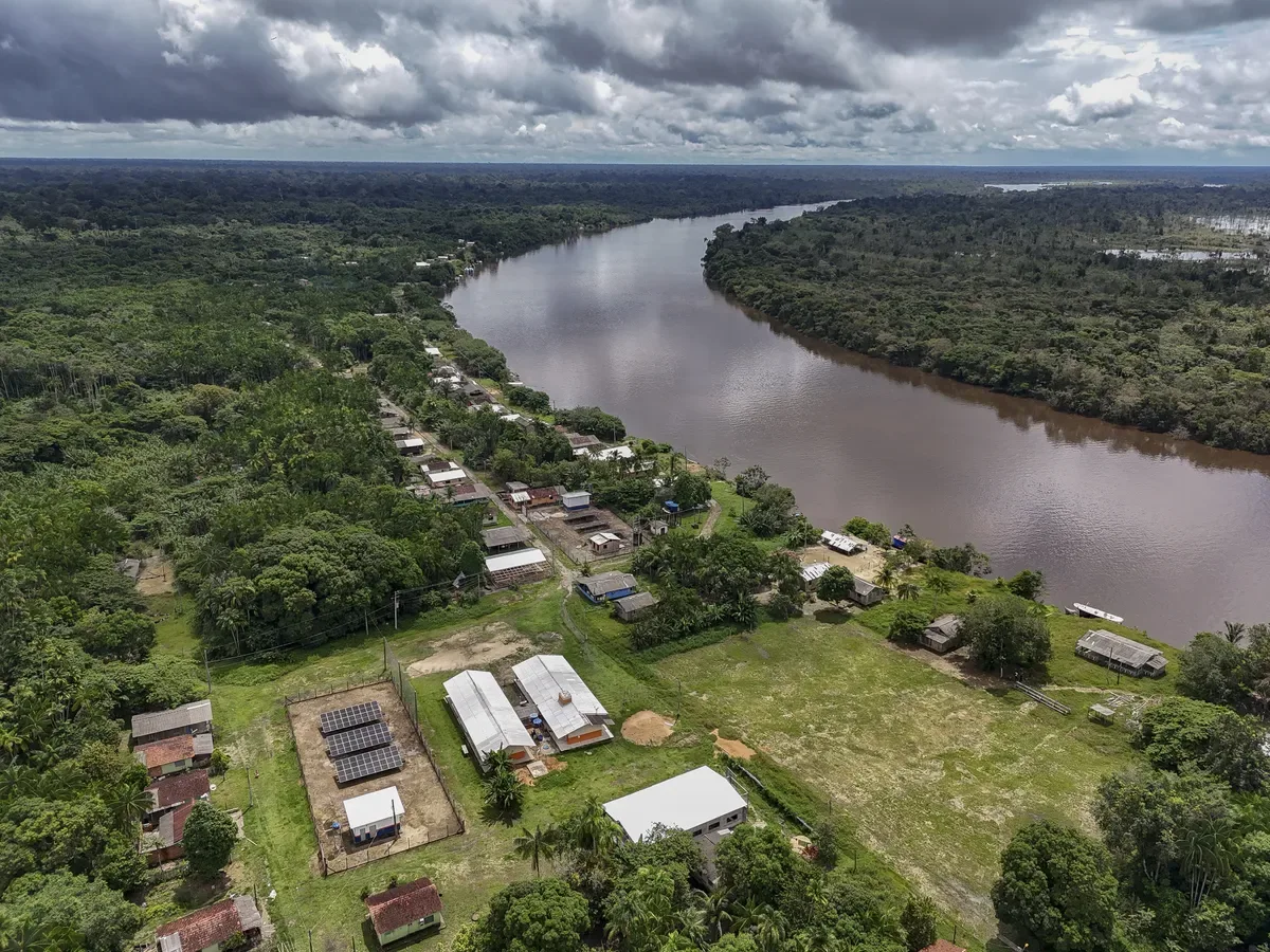 Açaí ganha unidade produtiva com apoio de minirrede solar no Amazonas