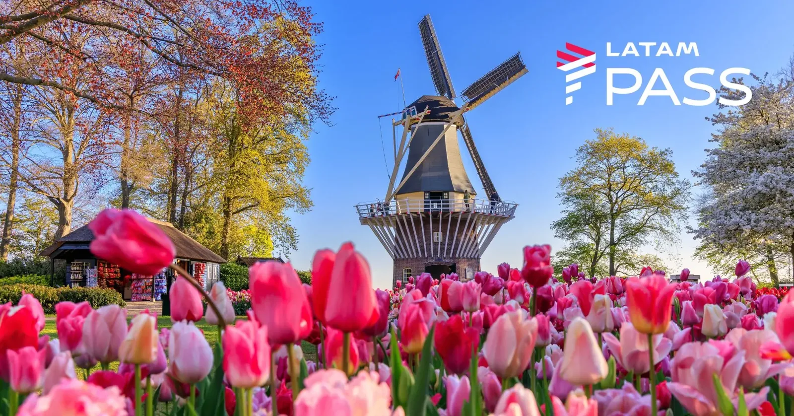 LATAM Pass tem passagens para Amsterdam por 63.305 milhas