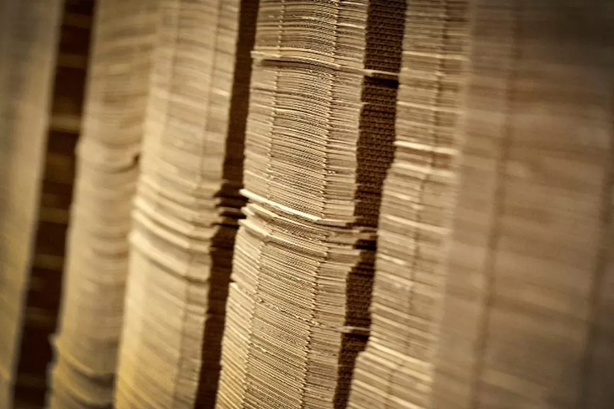 Chuvas reduzem coleta de papel e pressionam renda de catadores no Brasil