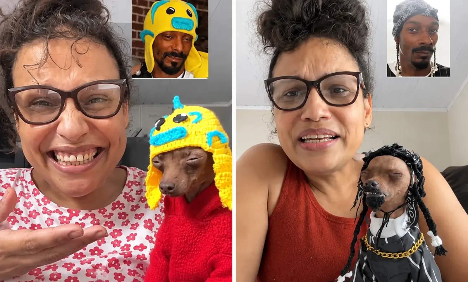 Yoshi, pinscher do oeste goiano, chama atenção de Snoop Dogg nas redes