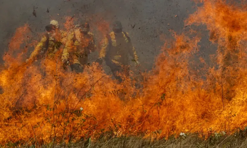 Incêndio em Posse mobiliza aeronaves e bombeiros em área de difícil acesso