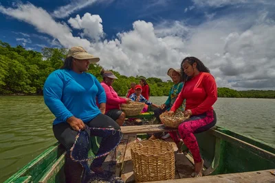 Pesca artesanal reúne 106.548 mulheres em municípios prioritários