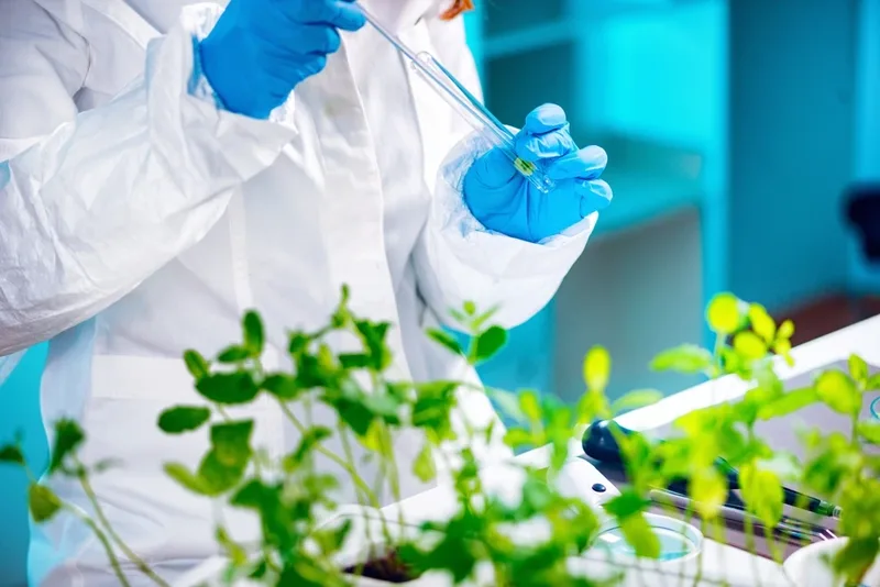 Goiás prevê maior participação de bioinsumos nas lavouras até 2026/2027