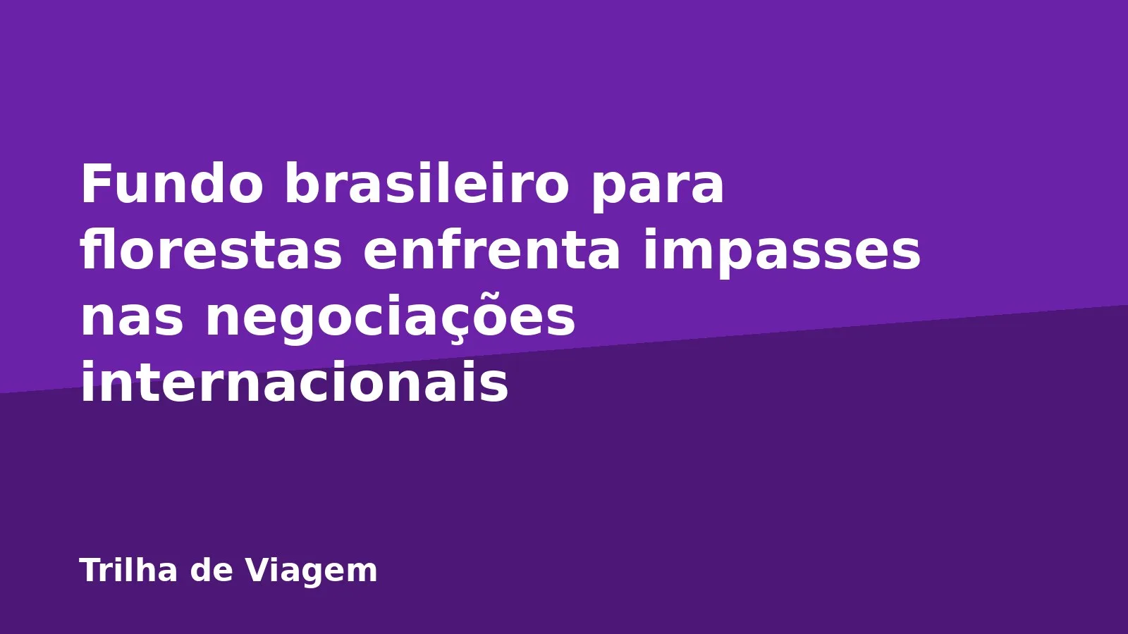 Fundo brasileiro para florestas enfrenta impasses nas negociações internacionais