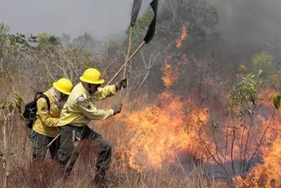 Incêndio na Chapada dos Veadeiros mobiliza brigadistas em área de cânion