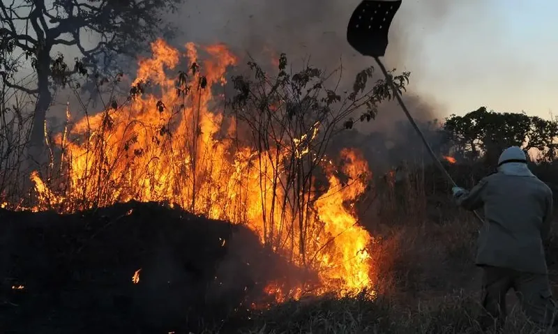 Cimehgo prevê calor de até 40°C e umidade de 18% em áreas de Goiás