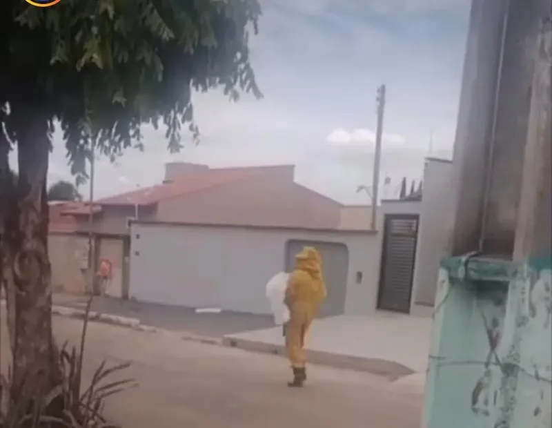 Enxame mata cachorro e força moradores a deixar igreja em Caldas Novas