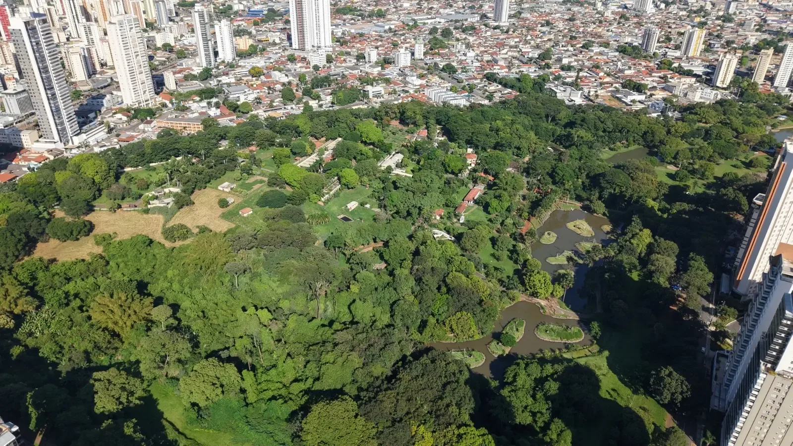Pesquisa aponta alta aprovação de turistas e destaca gastos em Goiânia