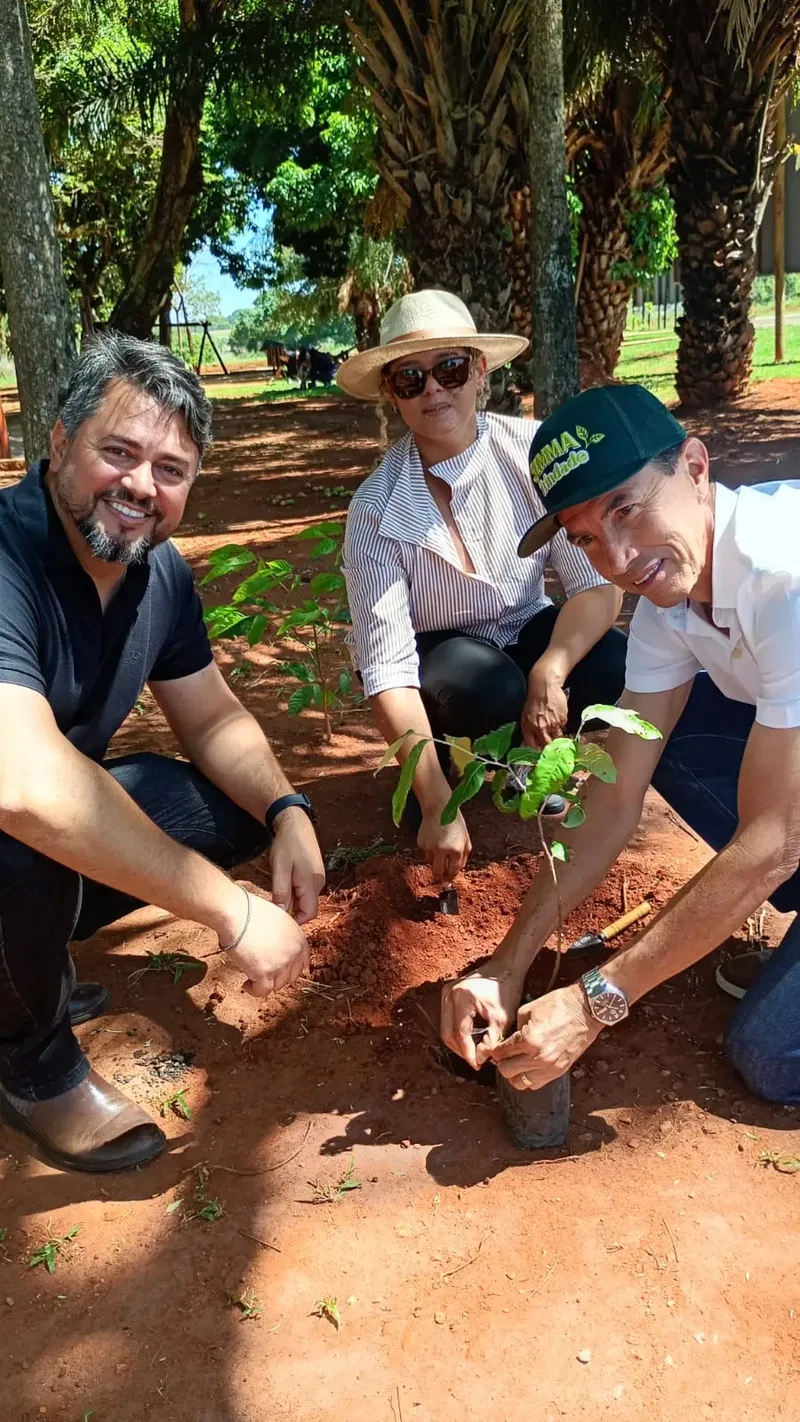Ação em Trindade amplia áreas verdes com espécies nativas do Cerrado