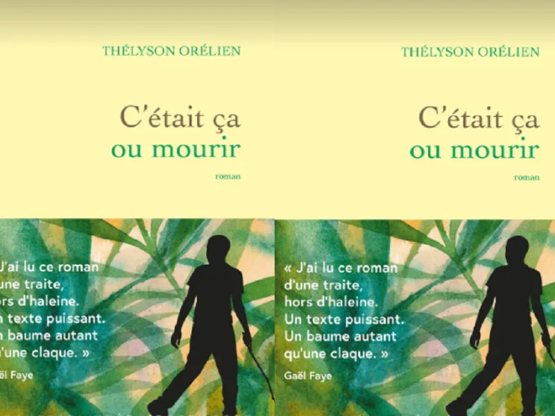 Romance elogiado na França é alvo de acusação de uso integral de inteligência artificial