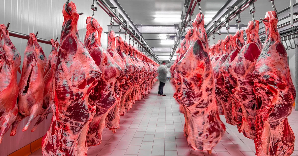 Garantias brasileiras entram em análise antes de volta da carne bovina à Europa
