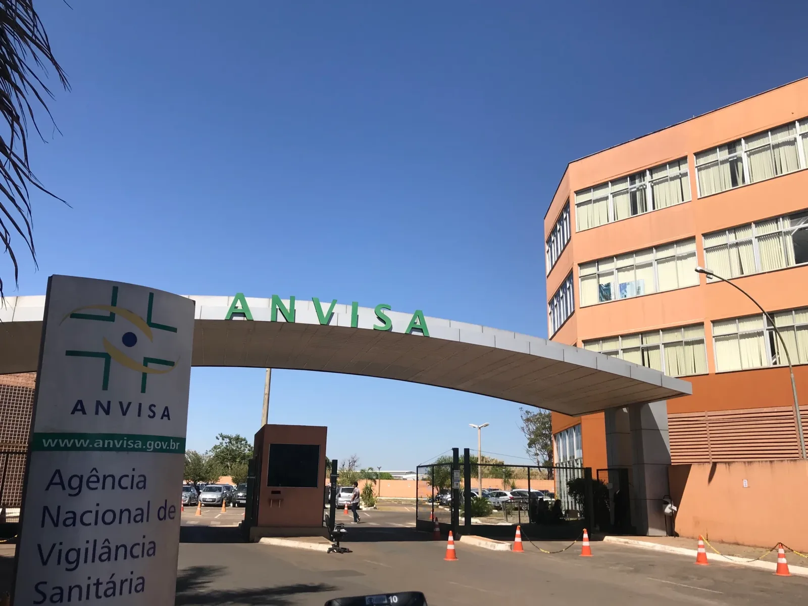 Anvisa determina retirada de produtos de Moringa da Paz do mercado
